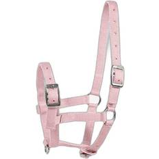 Rose Licols pour chevaux Horze Licol pour poulain Foal Rose