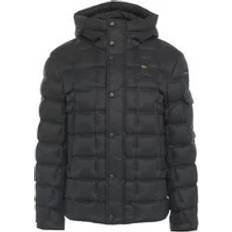 Blauer USA Herr Kort Dunjacka Med Dragkedja - Black
