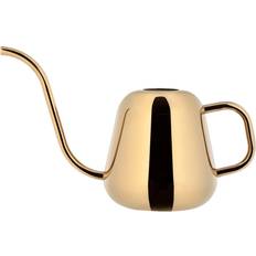 Iittala Nappula Water Jug 2 Liter