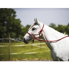 Rood Teugels Norton Ethologisch halster voor paarden met teugels Rouge