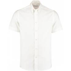 (20, White) Ladies Workwear Oxford Short Sleeve Shirt
