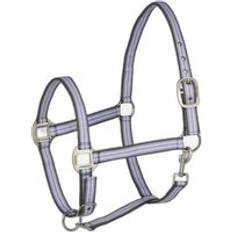 Licols pour chevaux Horze Licol pour cheval Adepto Violet