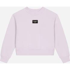 Dolce & Gabbana Vrouw Truien Dolce & Gabbana Felpa Giroc.man Lung Sweatshirt Lilac