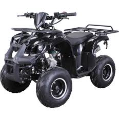 Elektrische Kinderfahrzeuge ACTIONBIKES MOTORS Benzin-Kinderquad S-8 Farmer, 125 ccm, ATV, Not-Aus-Leine, Automatik, Alarmanlage, Scheibenbremse (Schwarz)