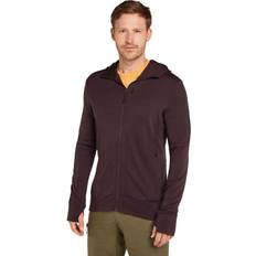 Ropa Icebreaker Merino 260 Quantum IV L/S Zip Hoodie - Brown