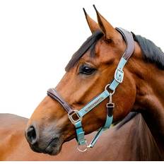 Horseware Halters & Lead Ropes Horseware Signature Competition Headcollar -