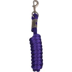 Équitation QHP Longe Luxe Violet