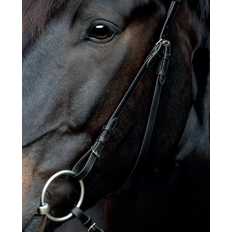 Svarta Träns Catago Catago Gentle Bridle Kindstykker FULL BRUN