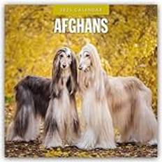 Afghans 2025 Square Wall Calendar - Red Robin