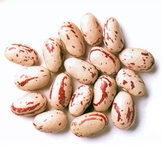 Beans & Lentils Jalpur Rosecoco Beans 200g