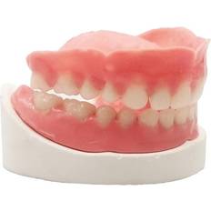 Dentures & Dental Splints Healthyare Denture Do it Yourself Full Set