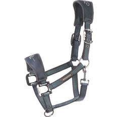 CavalSoft Softshell Grimma