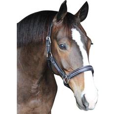 Horse Halters Henry de Rivel Padded Crystal Halter Australian Nut (Horse)