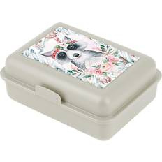 Grey Lunch Boxes Baagl Children's Raccoon Lunch Box