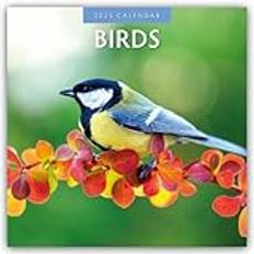 Red Calendars Birds Vögel 2025 16-Monatskalender Original