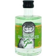 5cl - Gin Spirits Harrogate Gooseberry Gin Miniature, 5 cl 5cl