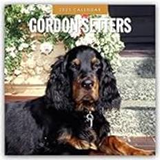 Gordon Setters 16-Monatskalender Original Red Robin Publishing Ltd (Englisch)