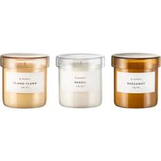 Blomus Set of 3 Scented Candles Ø7/H7 cm Duftlys