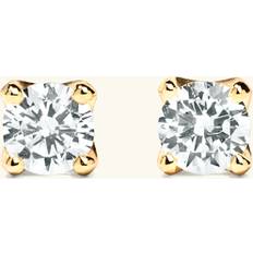 Smycken Ani Jewels Stud Earrings Gold mm