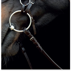 Sort Trenser Catago Catago Gentle Bridle Hagerem FULL BRUN