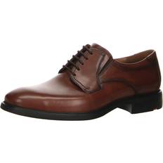 LLOYD Sneakers LLOYD Kentucky Bajos - Braun