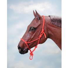 Purple Horse Halters Tough1 Miniature Poly Rope Halter Purple (Small)