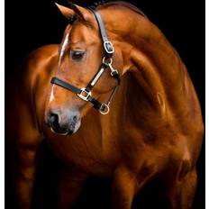 Horseware Signature Lædergrime for