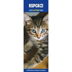 Office Supplies 2025 RSPCA I Love Kittens Slim Calendar