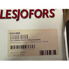 4063489 Front Coil Spring