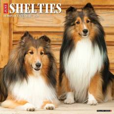 Office Supplies Willow Creek Press Just Shelties 2025 Wall Calendar