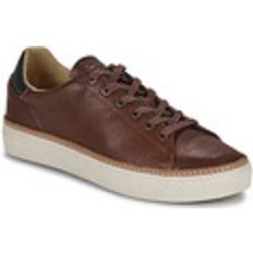 Clae Bradley Leather Trainers, Cocoa