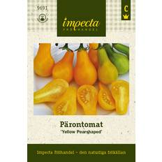 Impecta Pärontomat Yellow Pearshaped