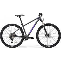 Big Seven 20 Shimano CUES U2000 2025 Dark Gre