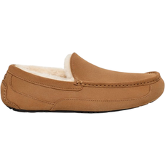 Wool Loafers UGG Ascot - Chestnut