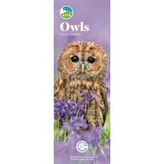 Carousel Calendars Owls Slim Calendar 2025