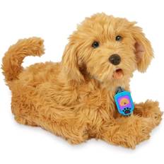 Labradoodle Skyrocket My Fuzzy Friend Moji The Loveable Labradoodle