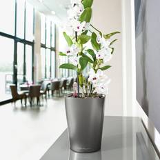 Lechuza Blåa Krukor Lechuza Deltini Blomkruka H20 cm - Grå Metallic ∅22cm