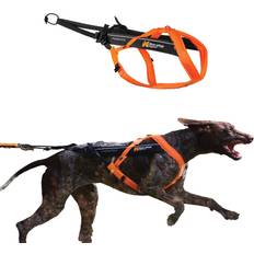 Non-Stop Dogwear Freemotion Harness 5.0 Str. 8 Orange/Black/Orange