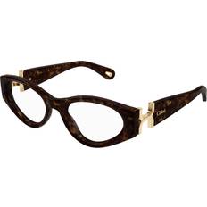 Chloé CH0273O Dam Brun 53 mm