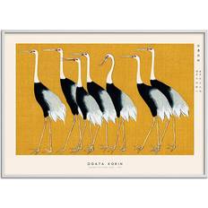 Citatplakat Japanese Red Crown Crane 70 x 100 cm Plakat
