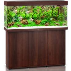 Juwel Rio 240L LED Aquarium Only - Dark Wood