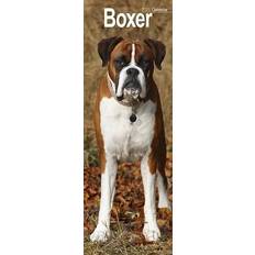 Office Supplies Boxer Slim Calendar 2025 - 12 Month