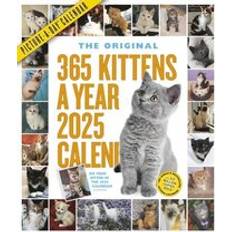 Pink Calendars Workman Publishing Kittens 365 Days 2025 Wall Calendar