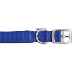 Pets Ancol Viva Nylon Padded Buckle Collar 19mm x 35-43cm SZ 4