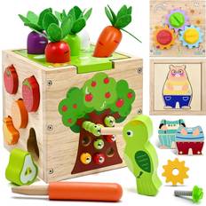 5 in 1 Montessori