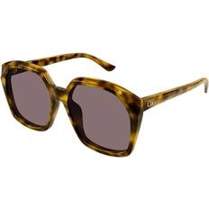 Stylish Sunglasses with Havana Frame - Brown