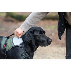 Pets Mission Dog Harness