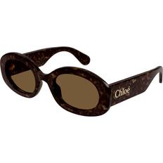 Stylish Sunglasses Acetate - Brown