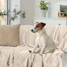 Petmaker 60 x 70 in Dog Blanket - Cream