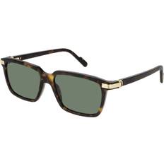 Cartier Cartier CT0220S Sunglasses - Dark Tortoise/Green